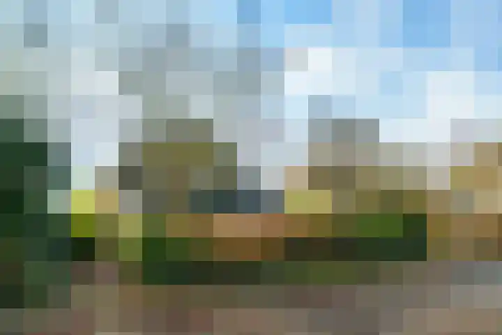 Bergpad 1 Wageningen foto 3