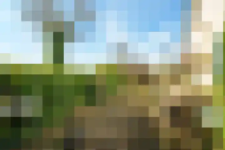 Bergpad 1 Wageningen thumbnail 37