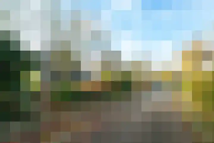 Bergpad 1 Wageningen thumbnail 4