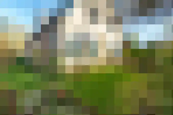 Bergpad 1 Wageningen thumbnail 40