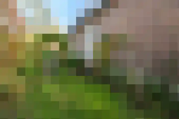 Bergpad 1 Wageningen thumbnail 41