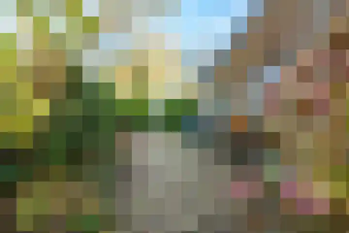 Bergpad 1 Wageningen thumbnail 42