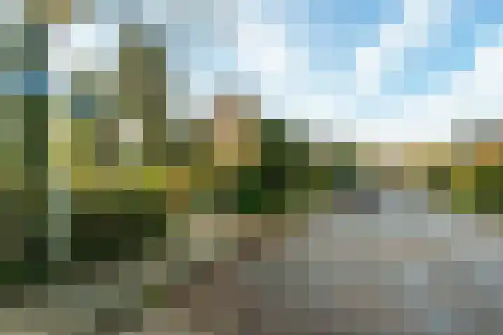 Bergpad 1 Wageningen thumbnail 44