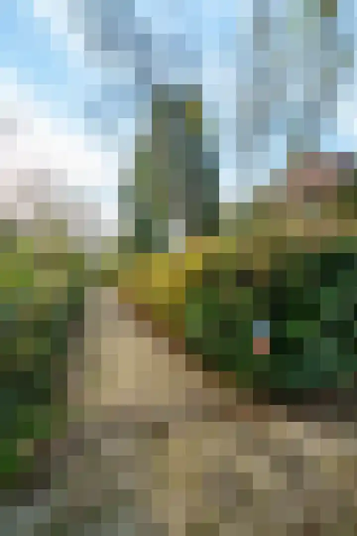 Bergpad 1 Wageningen thumbnail 45