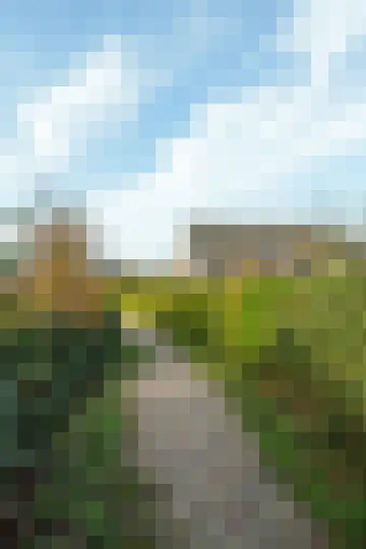 Bergpad 1 Wageningen thumbnail 46