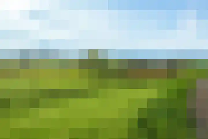 Bergpad 1 Wageningen thumbnail 47