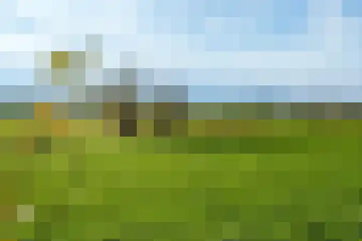 Bergpad 1 Wageningen thumbnail 48
