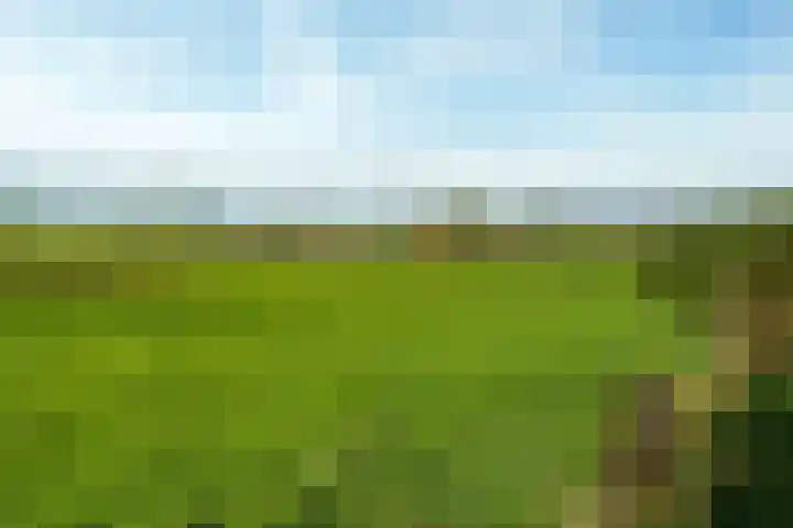 Bergpad 1 Wageningen thumbnail 49