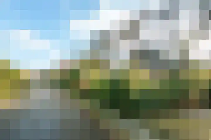 Bergpad 1 Wageningen thumbnail 5