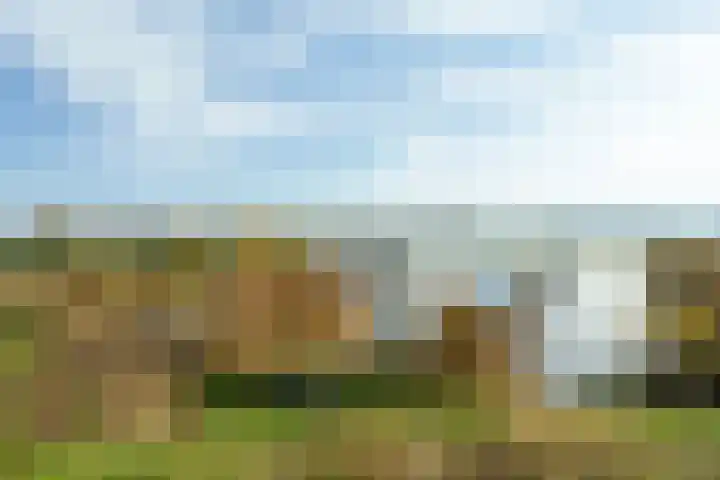 Bergpad 1 Wageningen thumbnail 50