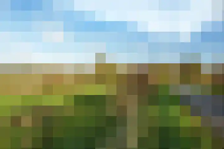 Bergpad 1 Wageningen thumbnail 51
