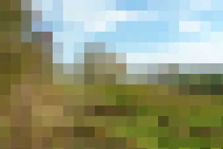 Bergpad 1 Wageningen thumbnail 52