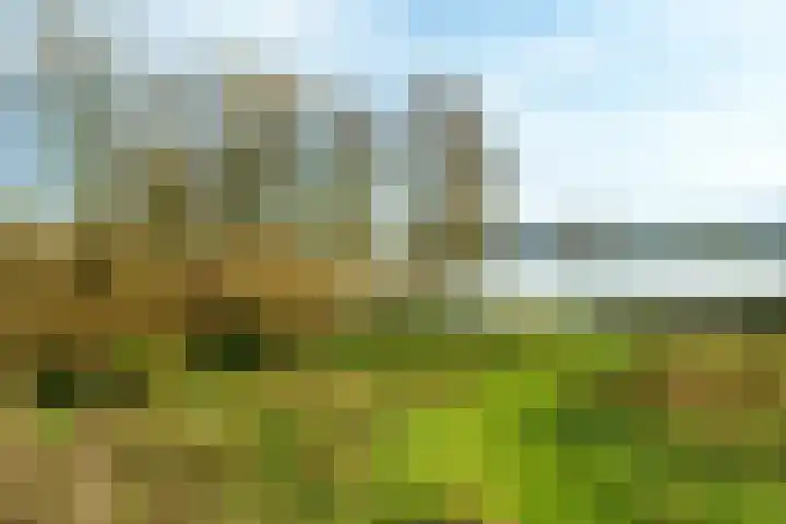 Bergpad 1 Wageningen thumbnail 53