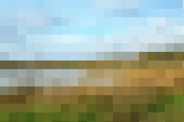 Bergpad 1 Wageningen thumbnail 54