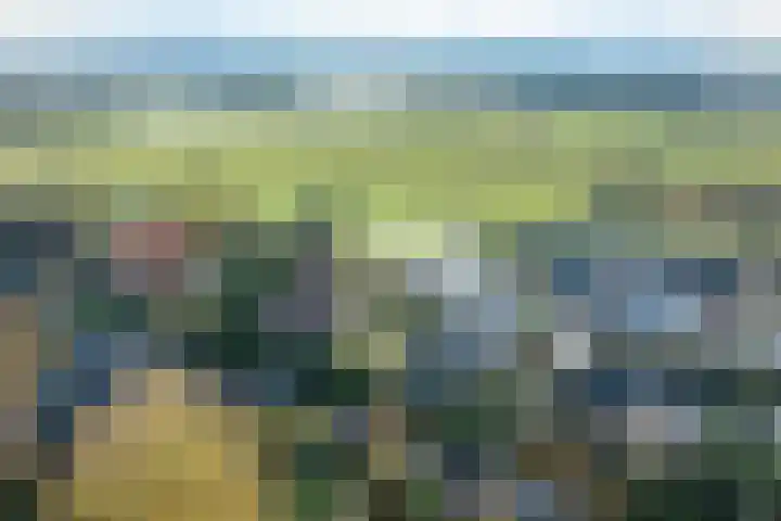 Bergpad 1 Wageningen thumbnail 55
