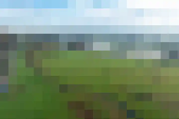 Bergpad 1 Wageningen thumbnail 57