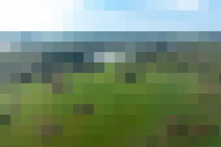 Bergpad 1 Wageningen thumbnail 58
