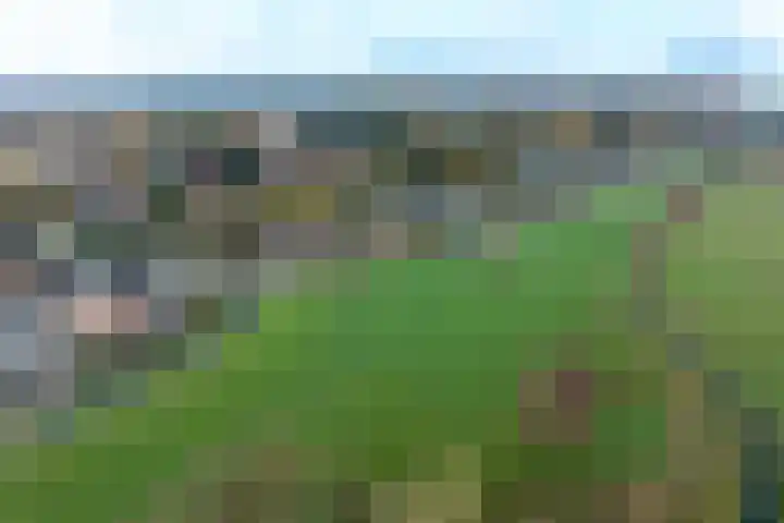 Bergpad 1 Wageningen thumbnail 59
