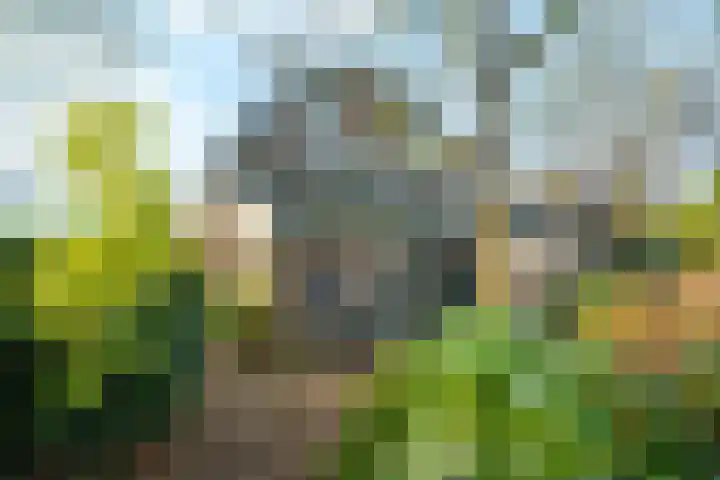 Bergpad 1 Wageningen thumbnail 6