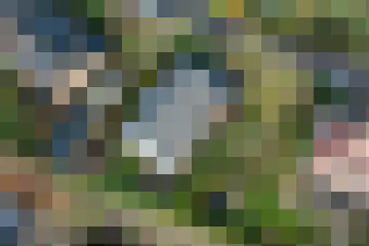 Bergpad 1 Wageningen thumbnail 60