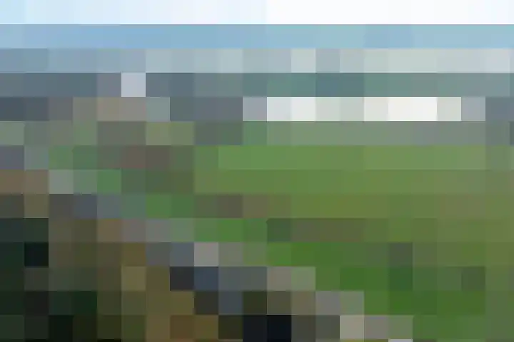 Bergpad 1 Wageningen thumbnail 62