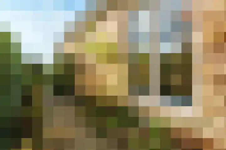 Bergpad 1 Wageningen thumbnail 8
