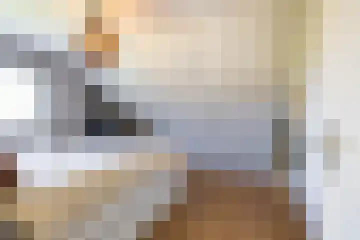 Bergpad 20 Schildwolde thumbnail 25