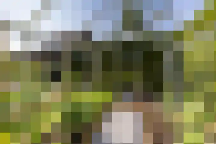Bergpad 20 Schildwolde thumbnail 39