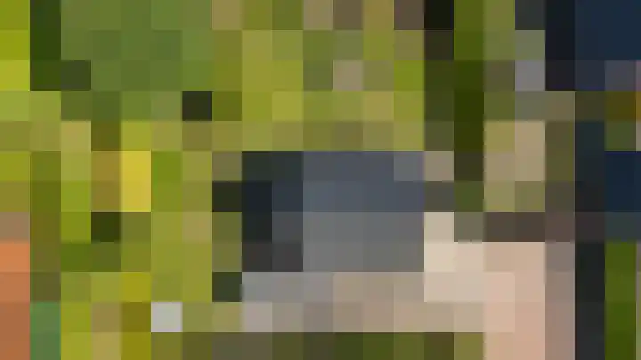 Bergpad 20 Schildwolde thumbnail 43