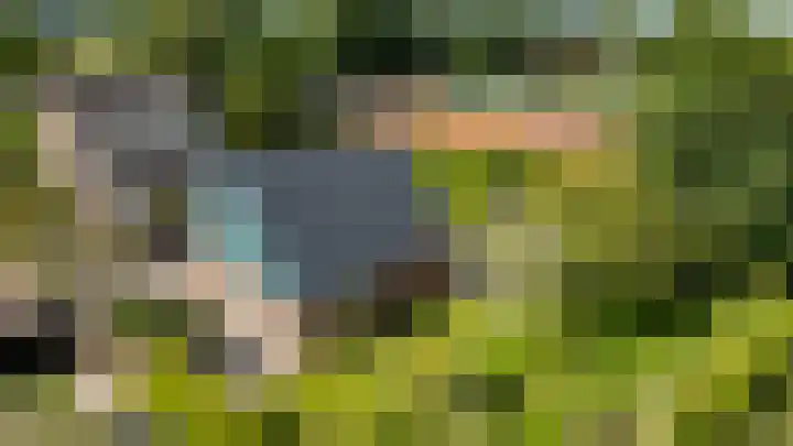 Bergpad 20 Schildwolde thumbnail 5