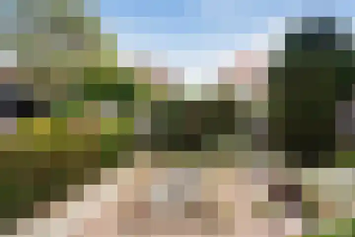 Bergplein 16 Rotterdam thumbnail 11
