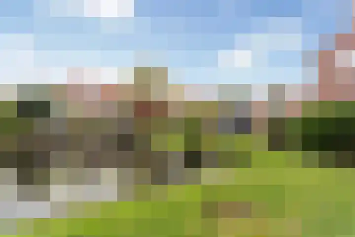 Bergplein 16 Rotterdam thumbnail 12