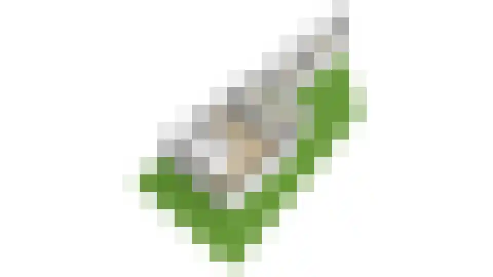 Bergplein 3 Hoensbroek thumbnail 47
