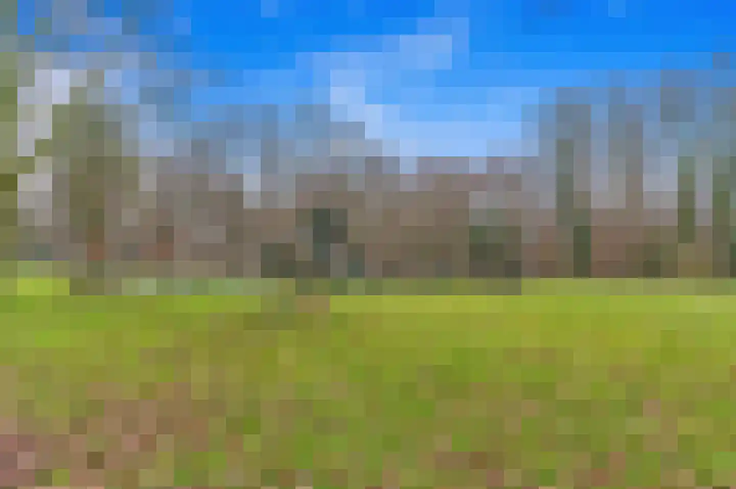 Bergpolderplein 11 B Rotterdam thumbnail 32