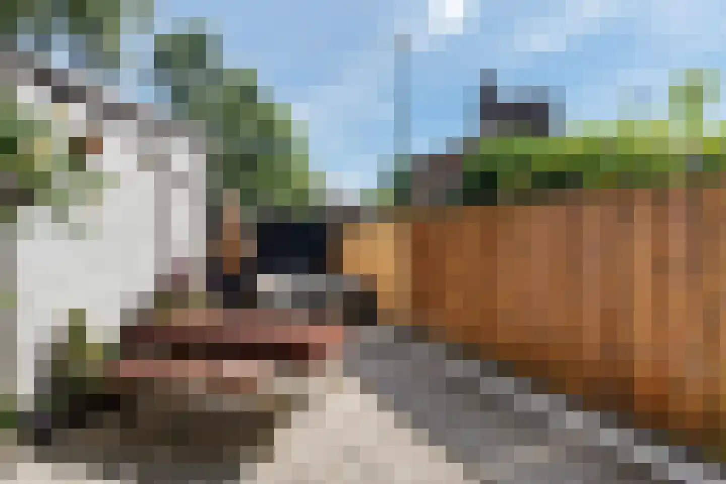 Bergpolderstraat 41 B Rotterdam thumbnail 34