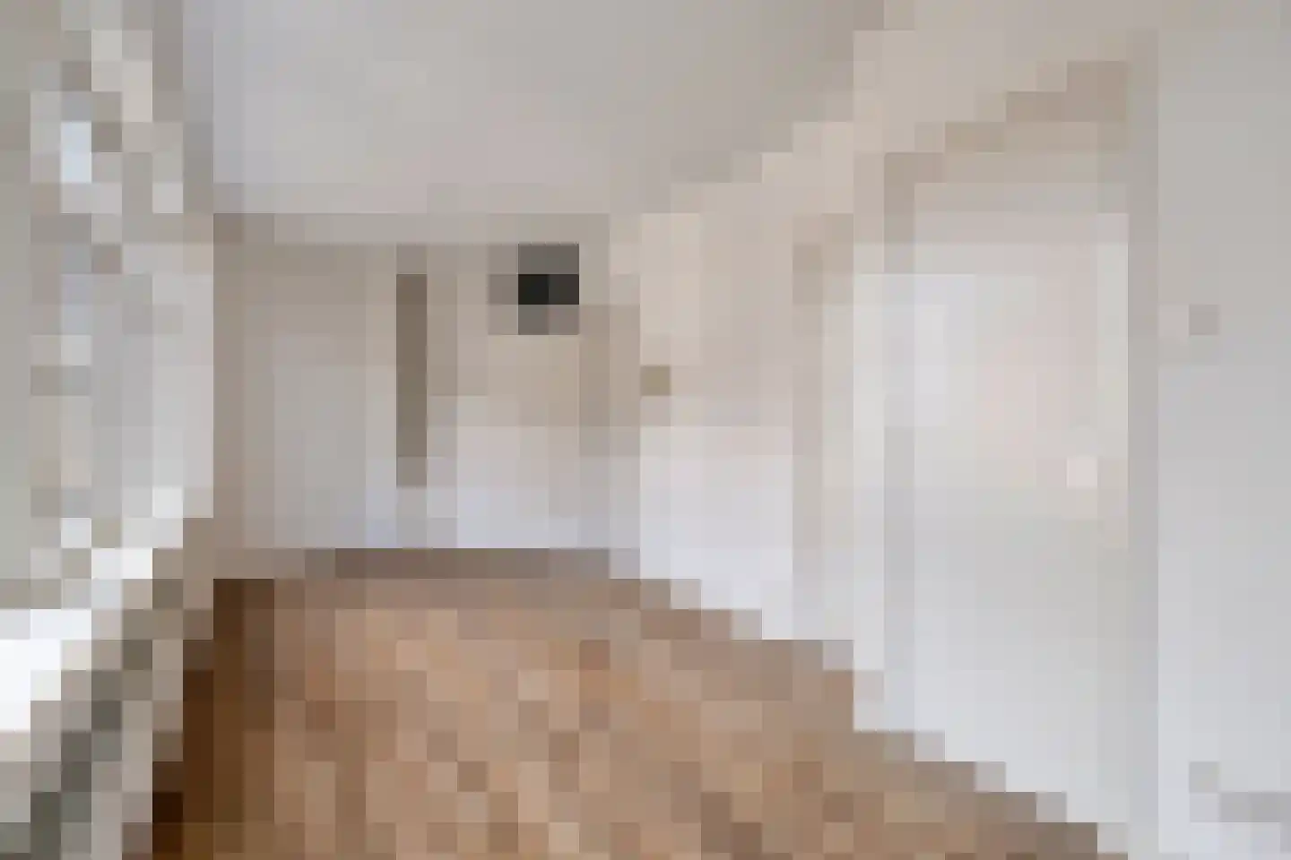 Bergpolderstraat 44 B Rotterdam thumbnail 6