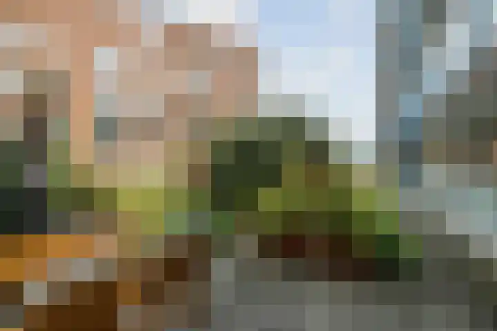 Bergpoortstraat 9 Deventer thumbnail 10
