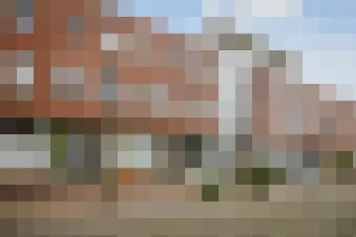 Bergpoortstraat 9 Deventer thumbnail 19