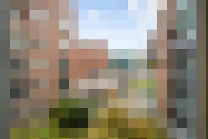 Bergpoortstraat 9 Deventer thumbnail 21