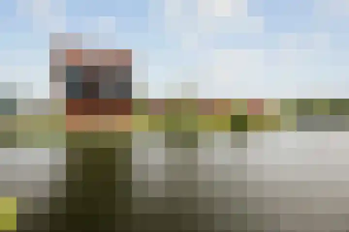 Bergpoortstraat 9 Deventer thumbnail 22