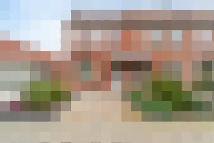 Bergroede 3 dans Zuidland