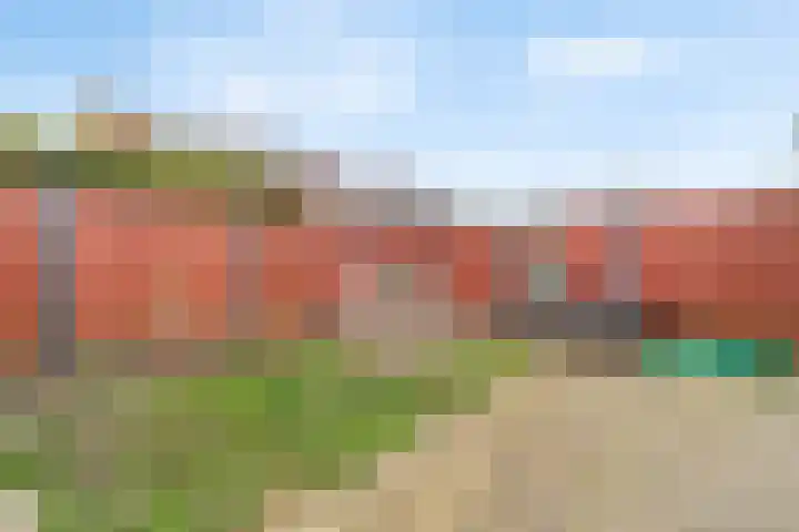 Bergroede 3 Zuidland thumbnail 12