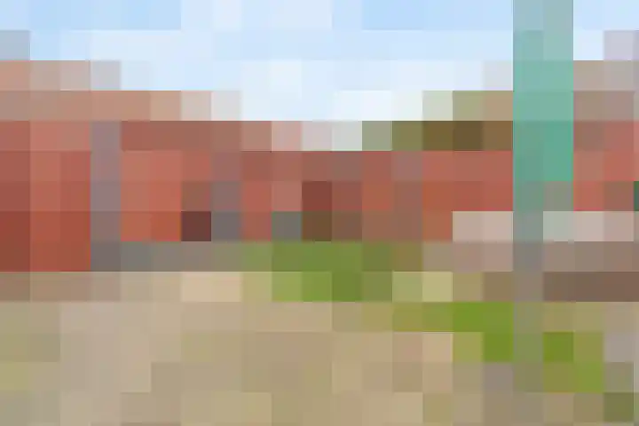 Bergroede 3 Zuidland thumbnail 13