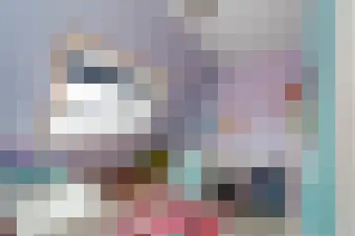 Bergroede 3 Zuidland thumbnail 20