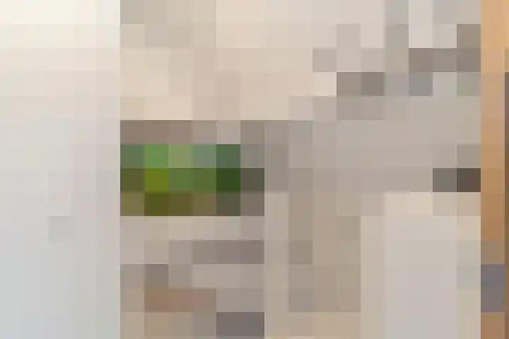 Bergroede 3 Zuidland thumbnail 25