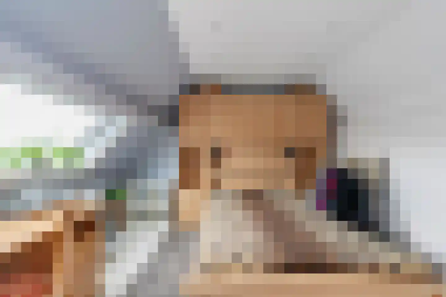 Bergroede 3 Zuidland thumbnail 26