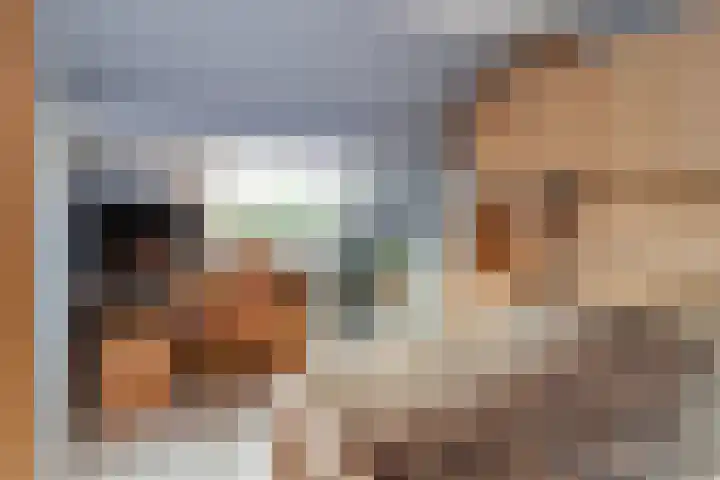 Bergroede 3 Zuidland thumbnail 27