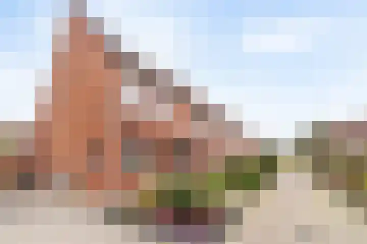 Bergroede 3 Zuidland thumbnail 29