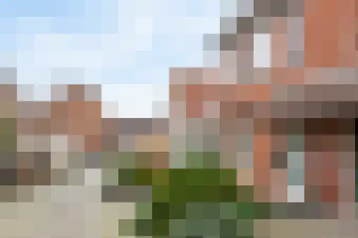 Bergroede 3 Zuidland thumbnail 31