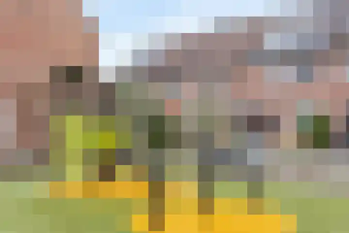 Bergroede 3 Zuidland thumbnail 32
